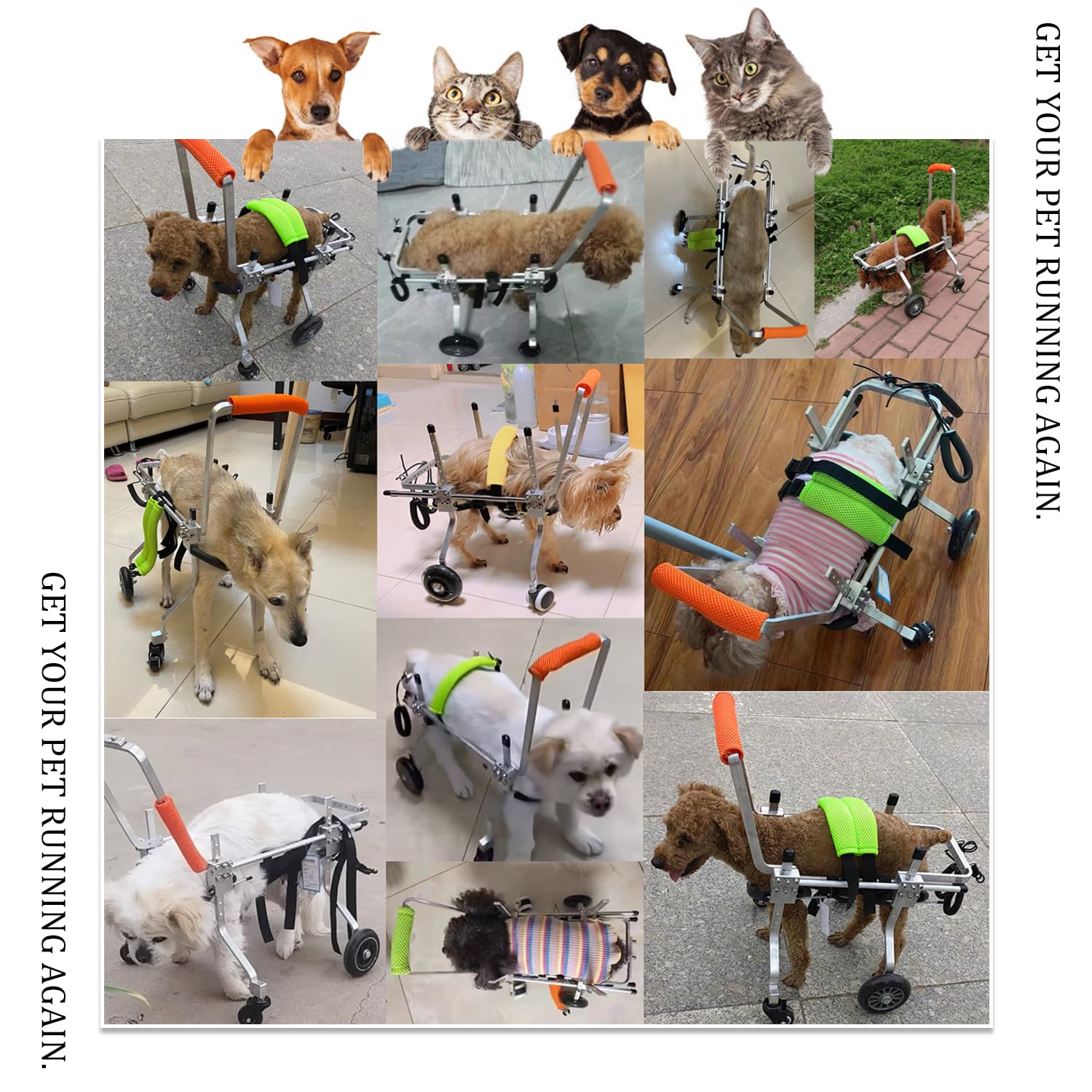 Tallas ajustables de la silla RUIFAR para perros pequeños y medianos