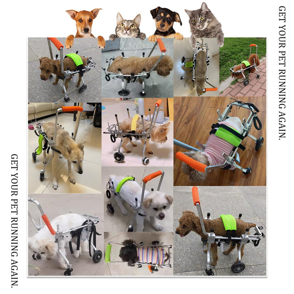 Tallas ajustables de la silla RUIFAR para perros pequeños y medianos