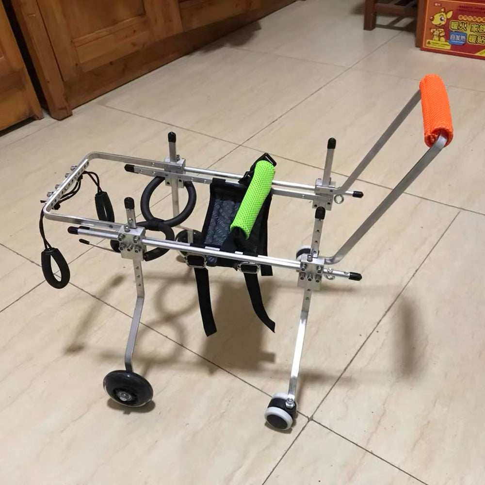 Uso diario de la silla RUIFAR para paseos y juegos suaves