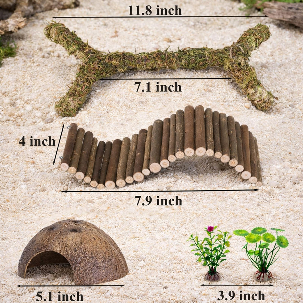 RUNANIA detalle de musgo natural y lianas para hábitat realista