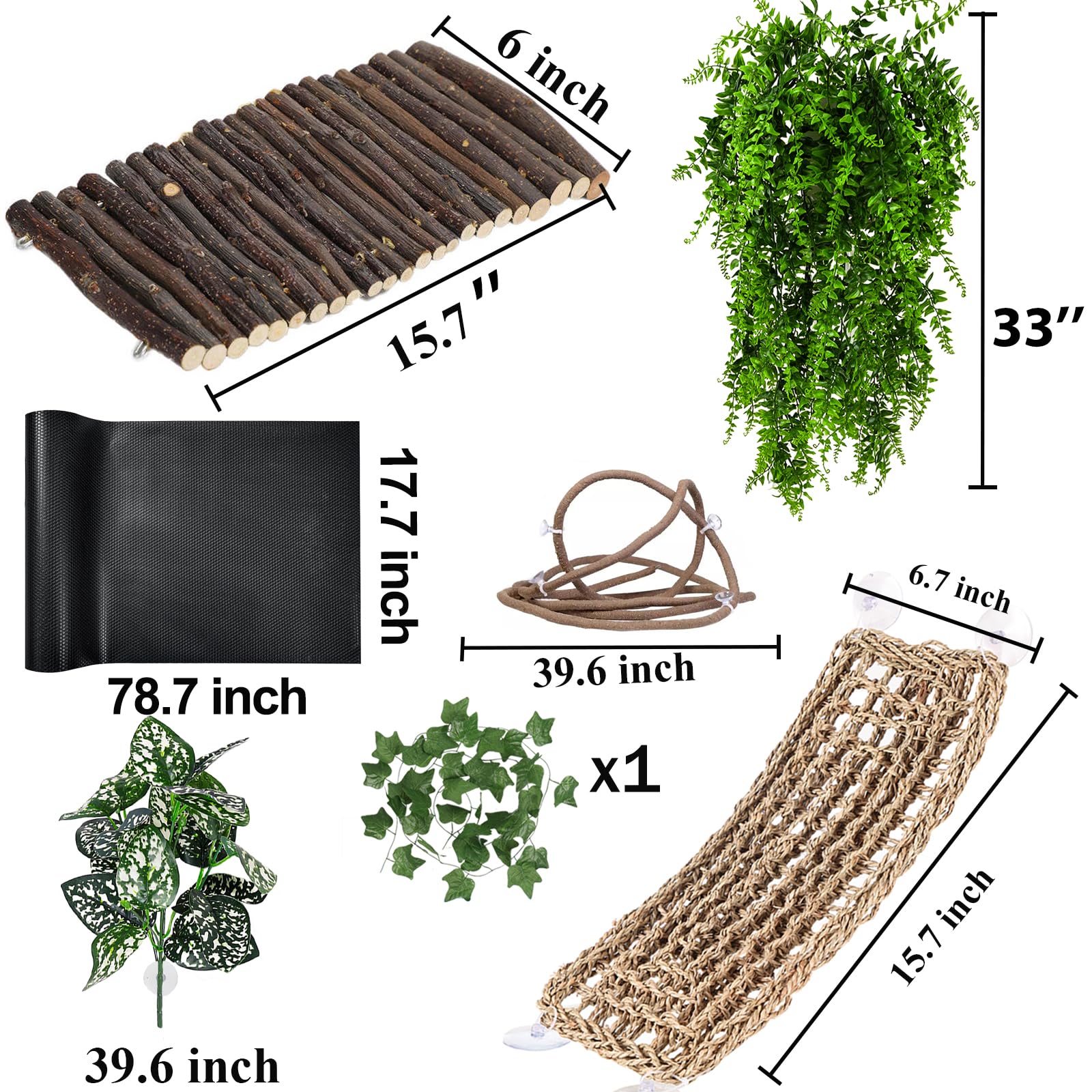 RUNANIA plantas pequeñas para terrario, densidad y ambiente