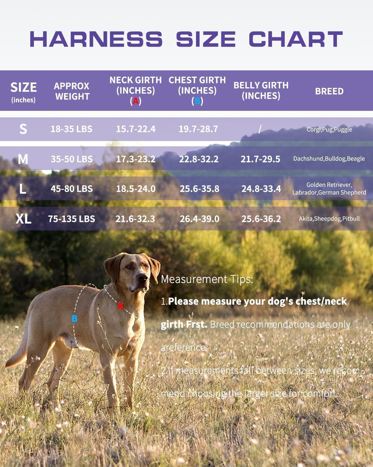 RunFido arnés cómodo y transpirable con acolchado de malla para uso prolongado.