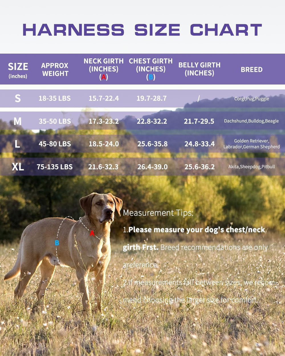RunFido arnés cómodo y transpirable con acolchado de malla para uso prolongado.