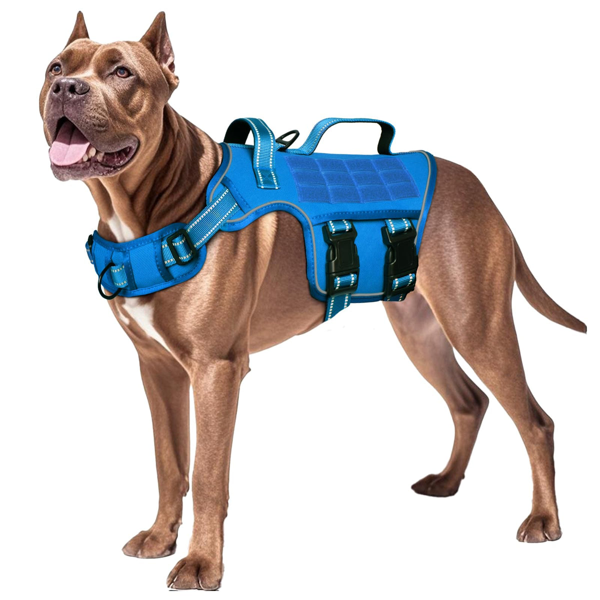 RunFido arnés grande, ajuste rápido: vestir al perro en segundos con comodidad.