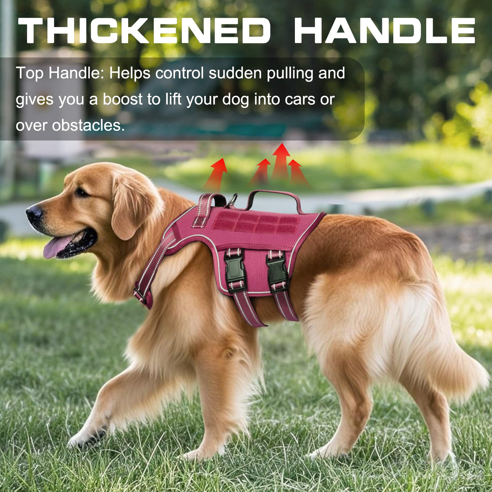 RunFido arnés medio con ajustes en cuello, pecho y vientre para comodidad.