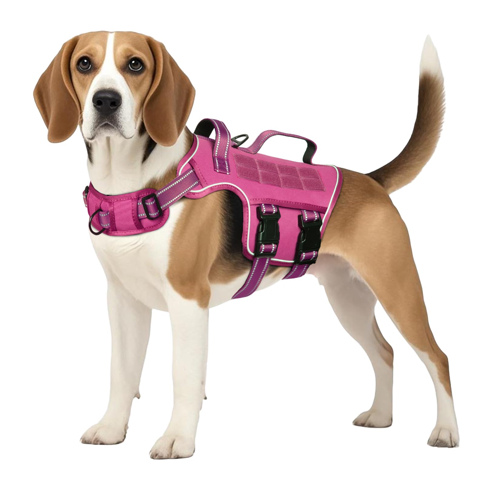 RunFido arnés medio con hebillas rápidas para un ajuste fácil y seguro.