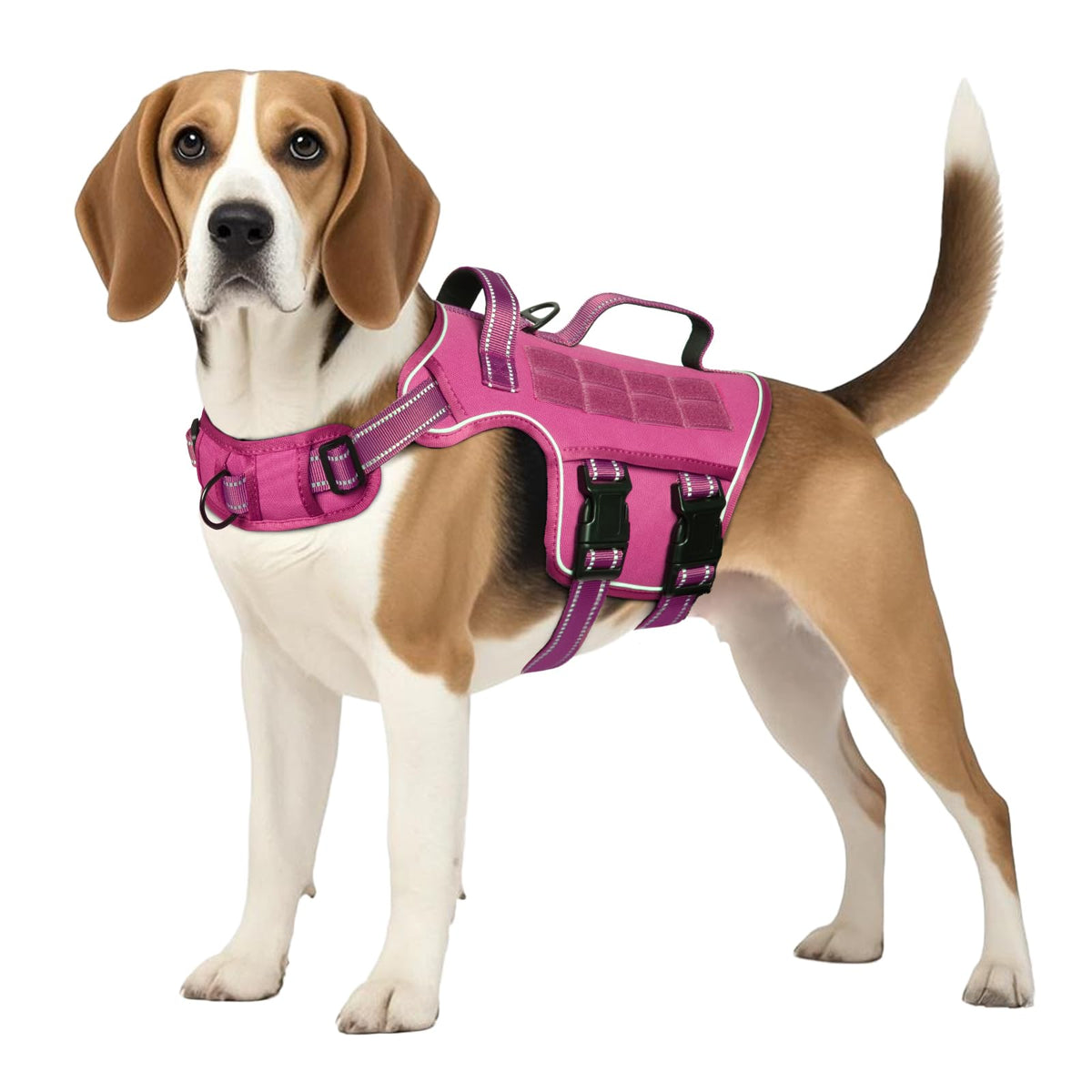 RunFido arnés medio con hebillas rápidas para un ajuste fácil y seguro.