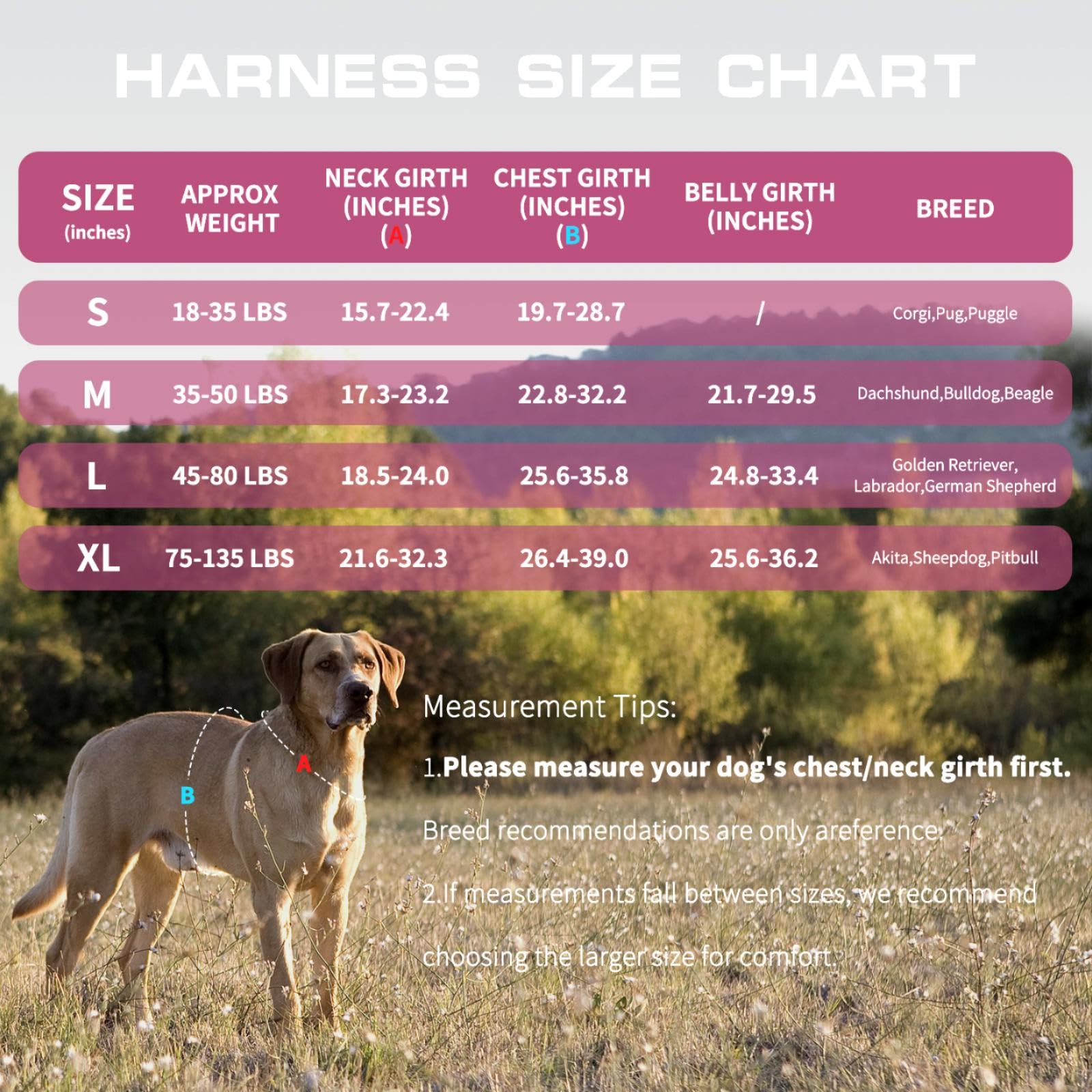 RunFido arnés medio con asas horizontales y verticales para agarre cómodo.