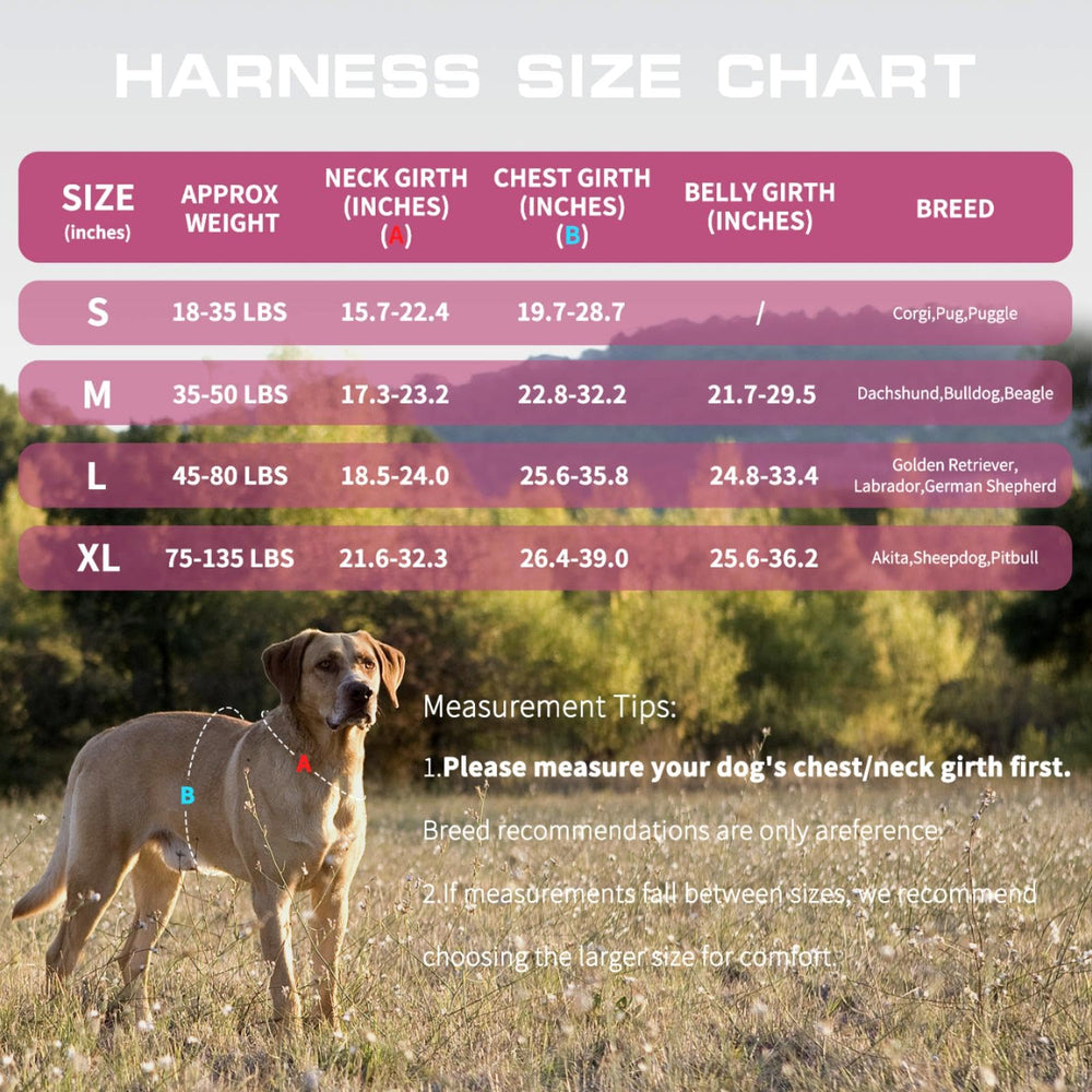 RunFido arnés medio con asas horizontales y verticales para agarre cómodo.