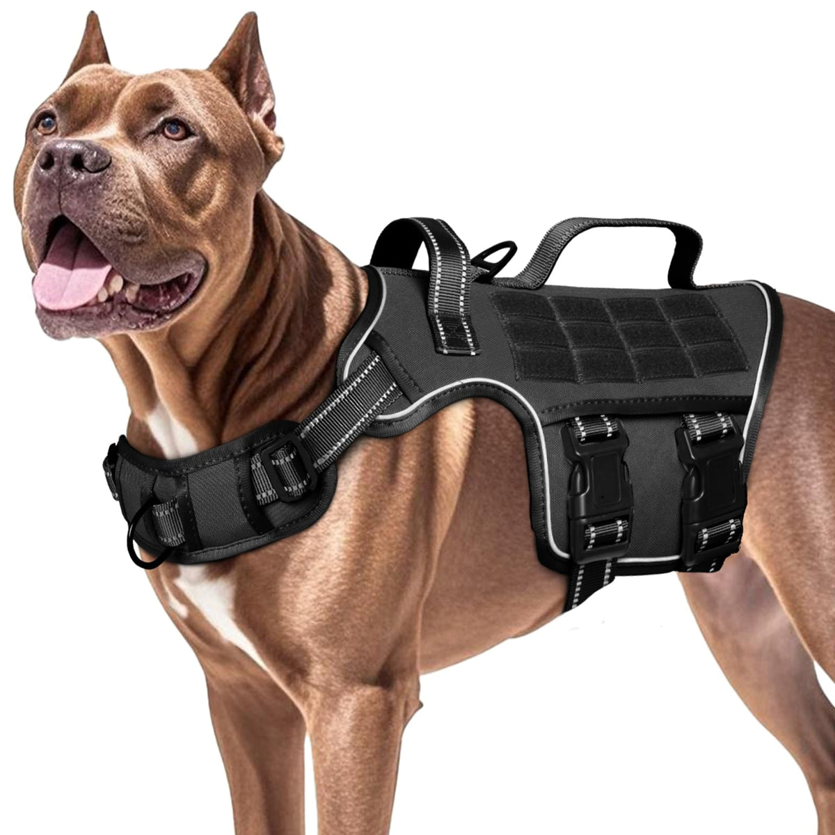 RunFido arnés perro cierres rapidos, ajuste rápido para salidas sin estrés.