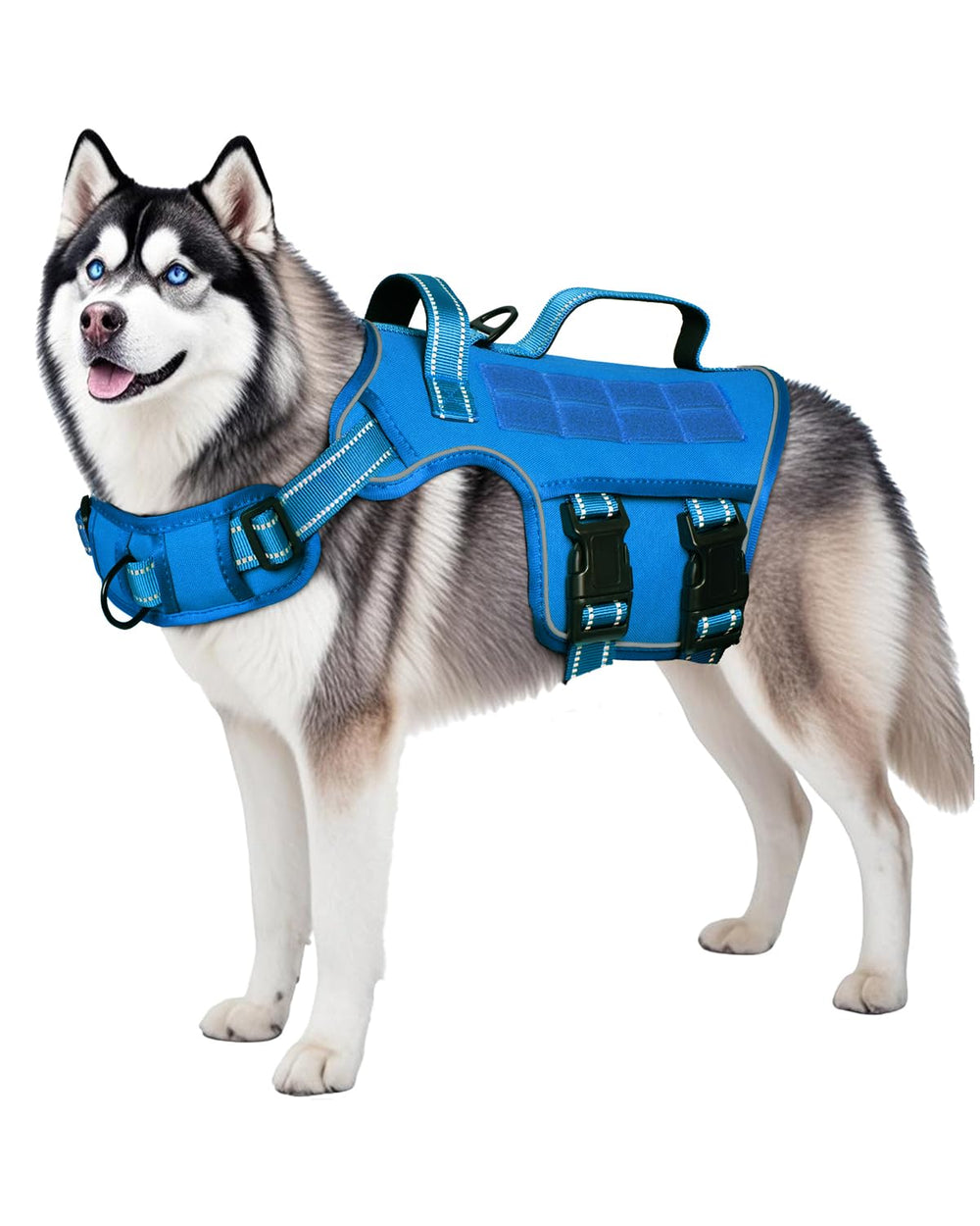 RunFido arnés con gancho frontal para entrenamiento sin tirar.