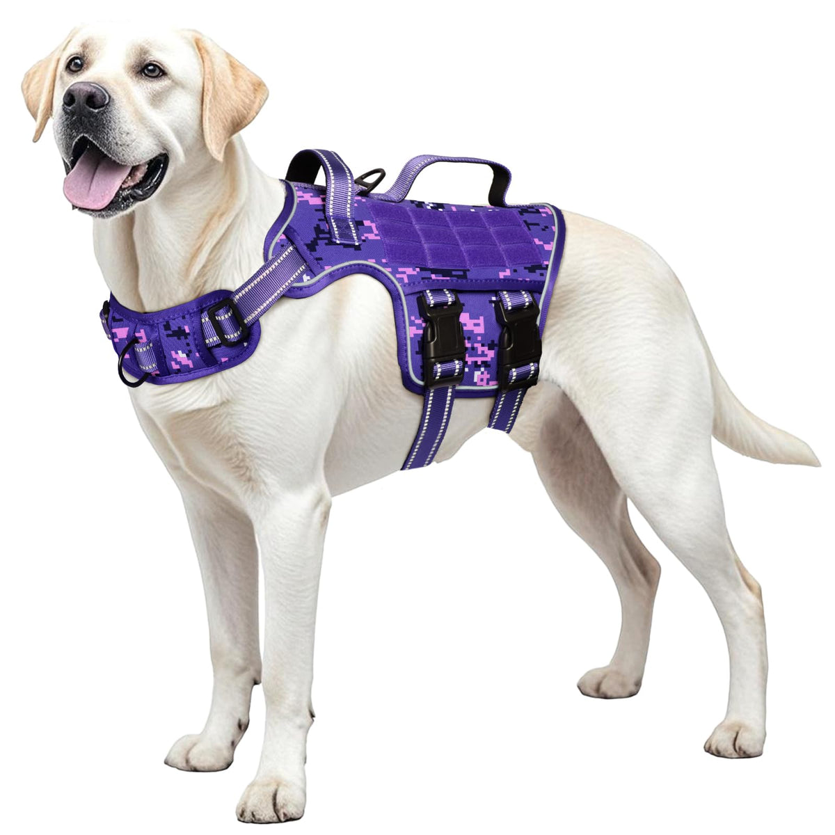 RunFido arnés para perro grande con carga pesada, ideal para entrenamiento y paseo seguro.