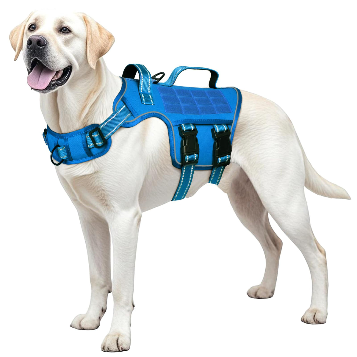 RunFido arnés perro grande con diseño táctico para paseos estables.