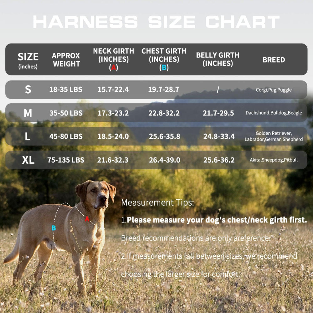 RunFido arnés sistema MOLLE, permite accesorios para entrenamiento y expediciones.