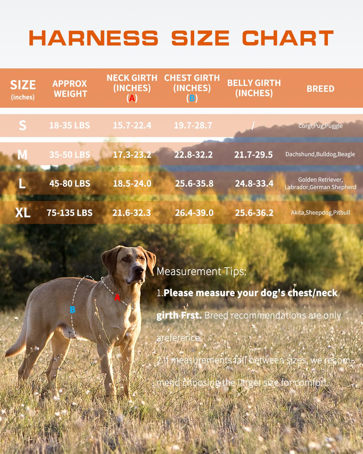 RunFido arnés en colores variados para estilo y función.