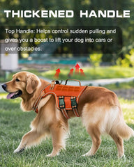 RunFido arnés táctico, lateral con asa para maniobra estable durante entrenamiento.