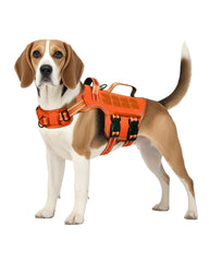 RunFido arnés táctico para perro mediano, frontal para control seguro durante paseos.