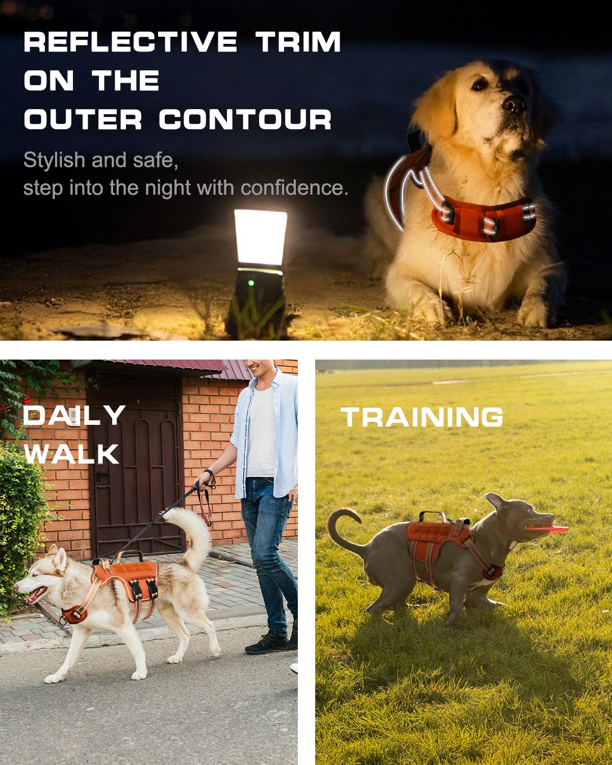 RunFido arnés con Molle para accesorios en excursiones largas.