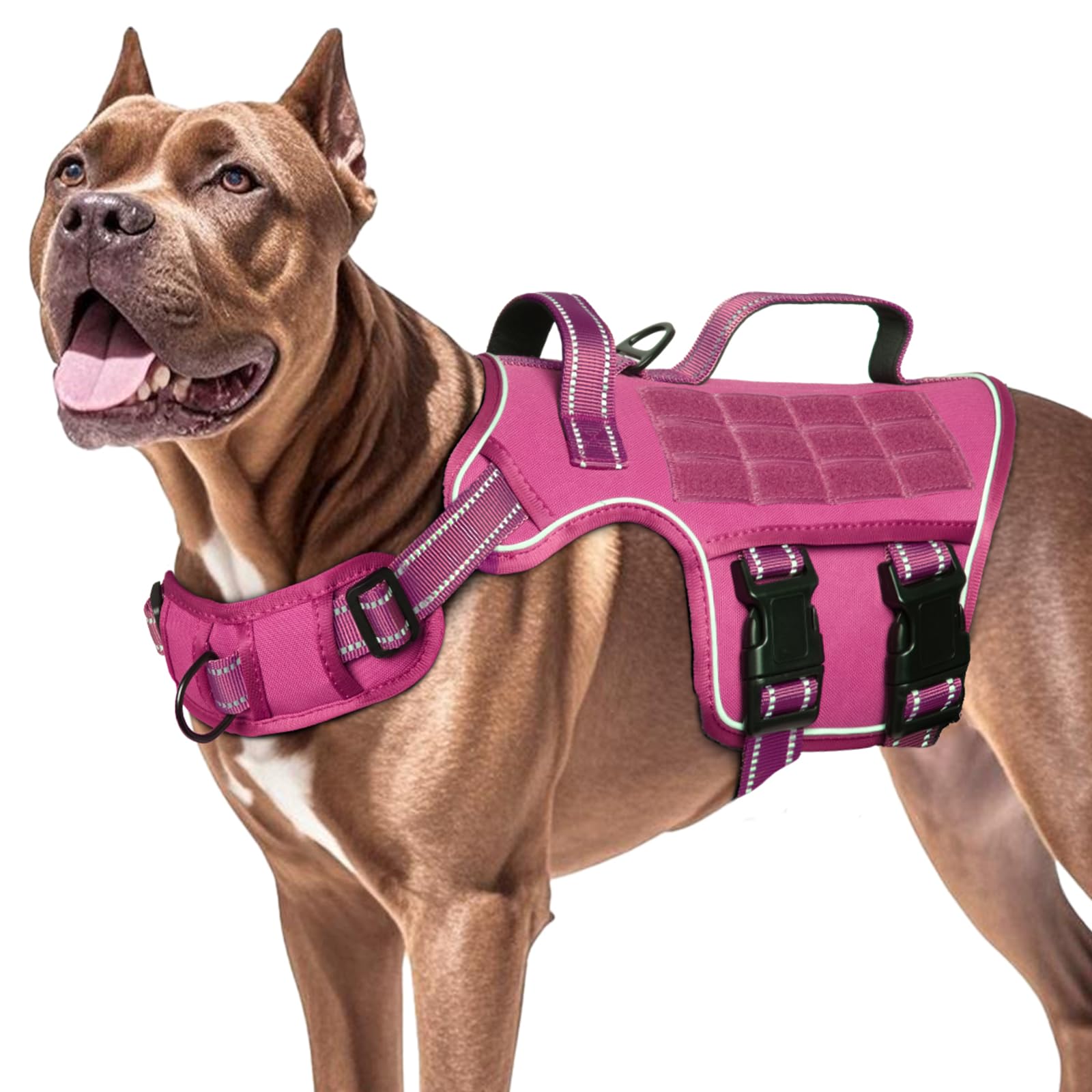 Arnés RunFido con tallas ajustables para perros