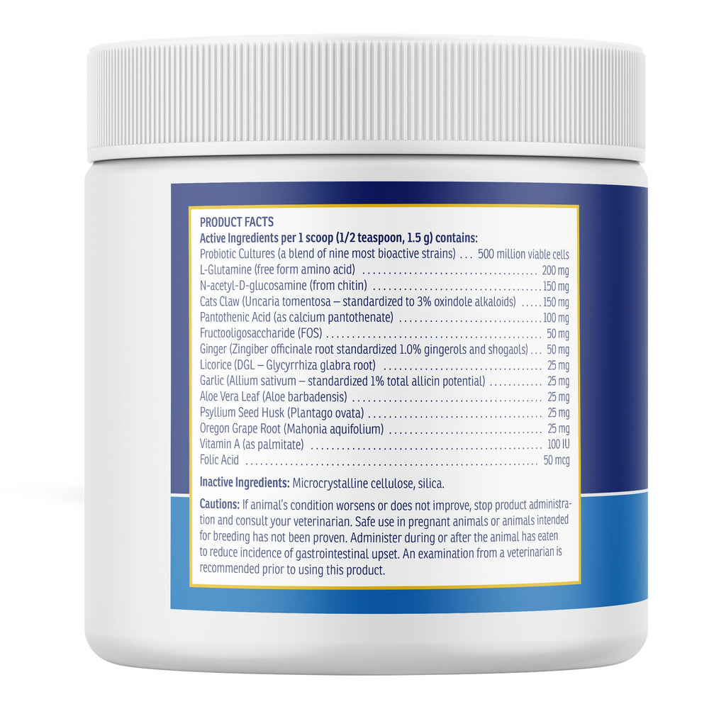 Rx Vitamins NutriGest: apoyo digestivo para perros y gatos en casa.
