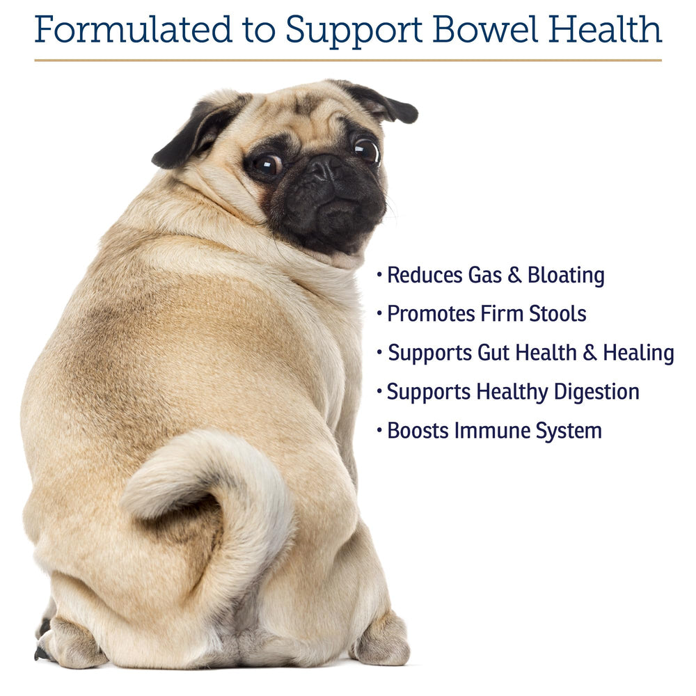 Rx Vitamins NutriGest: complemento para gatos y perros para apoyo digestivo.