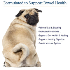 Rx Vitamins NutriGest: complemento para gatos y perros para apoyo digestivo.