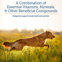 Rx Vitamins: complemento para perros y gatos para nutrición diaria.