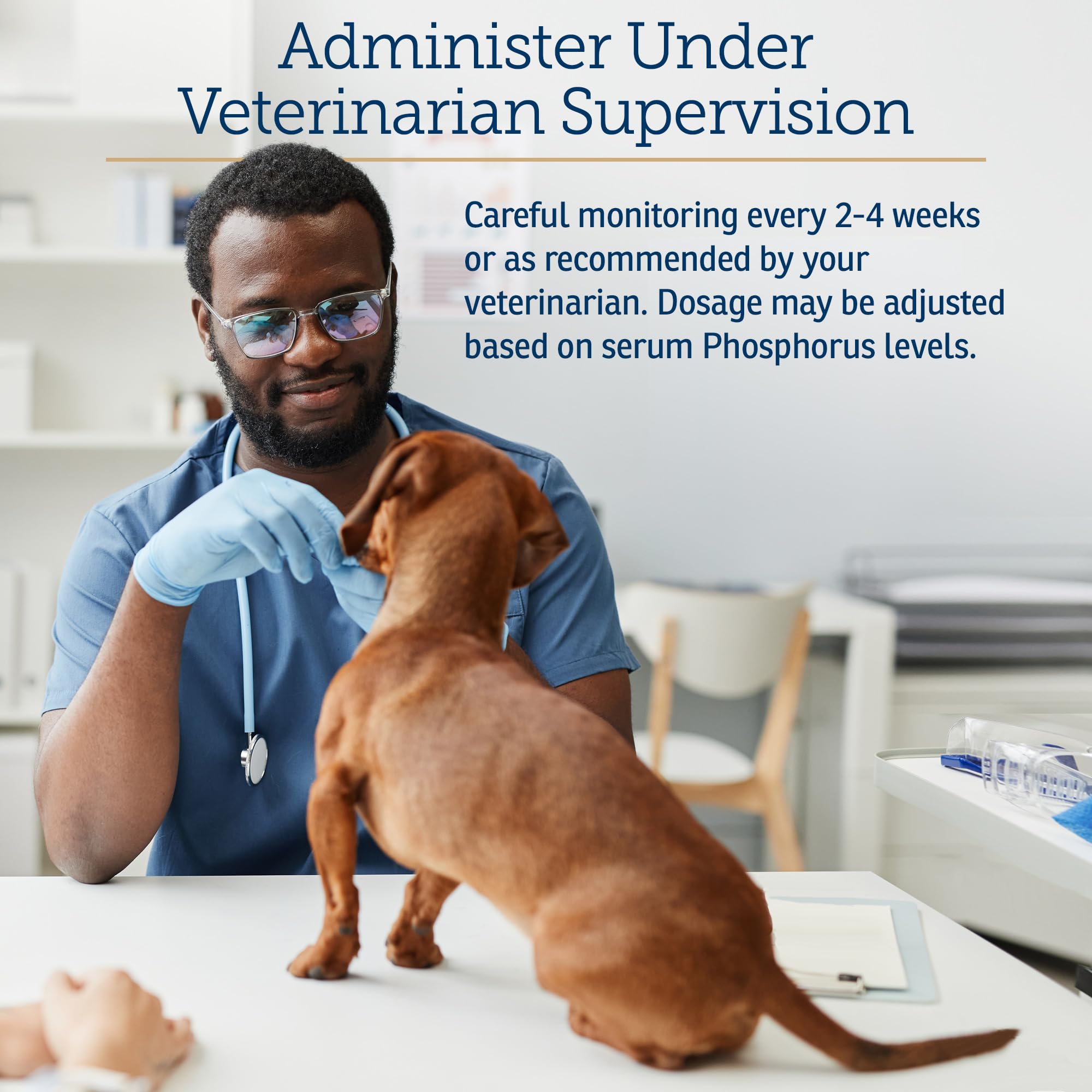 Perro usando Phos-Bind de Rx Vitamins para uso diario