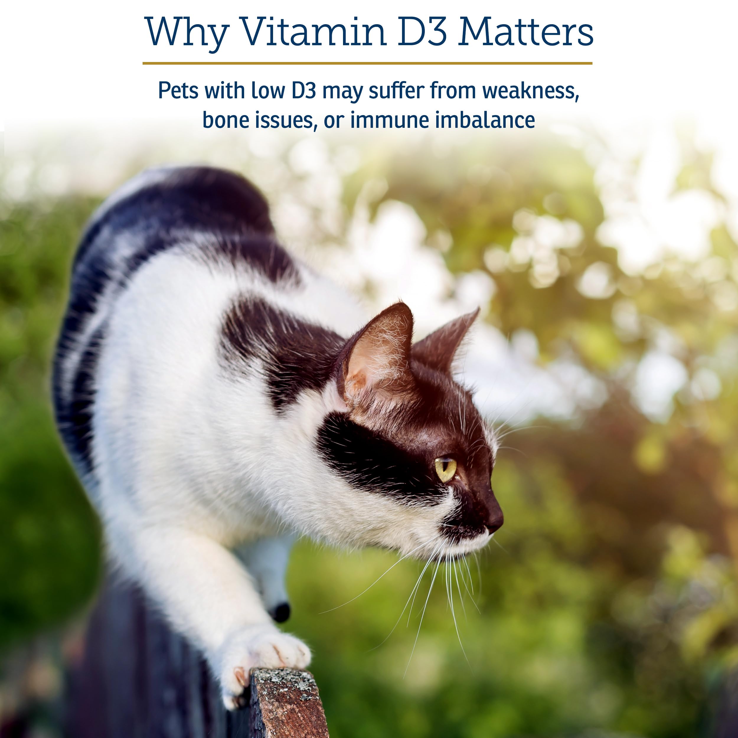 Rx Vitamins Rx D3 apoyo-inmunidad: fortalecimiento de defensas de mascotas.