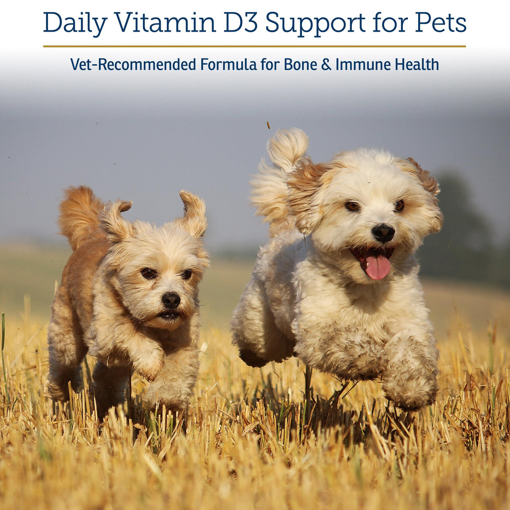 Rx Vitamins Rx D3 cuentagotas: entrega precisa para mascotas pequeñas y grandes.
