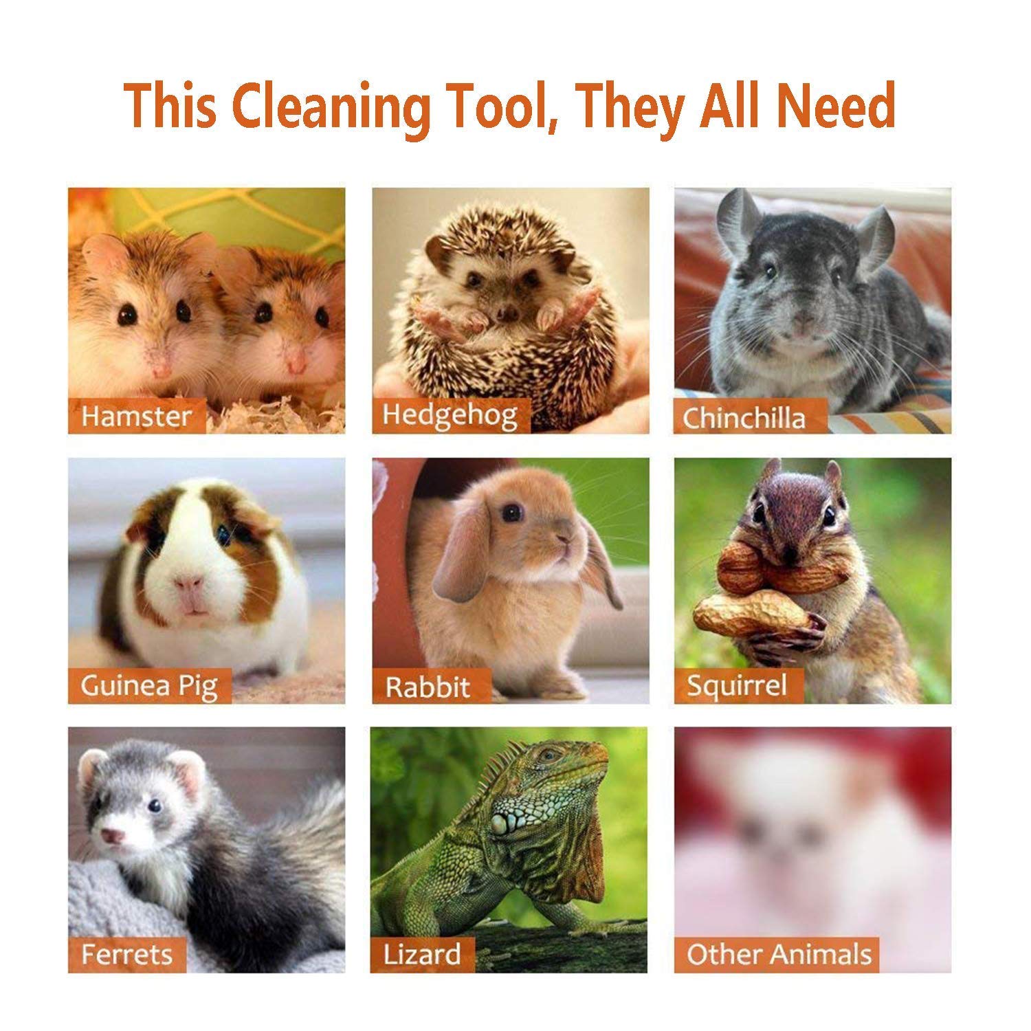 Rypet compatibilidad con animales pequeños para limpieza diaria.
