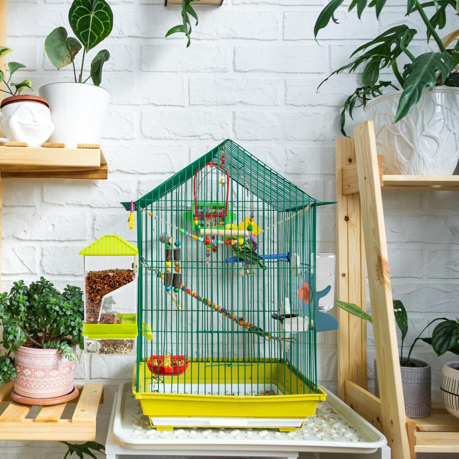 Material acrílico duradero Rypet para jaula, diseño resistente para aves pequeñas.