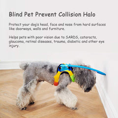 Protección de cabeza para perro con visión reducida con S-Lifeeling.