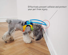 Protección de frente y nariz para perros con impacto en puertas y mobiliario.