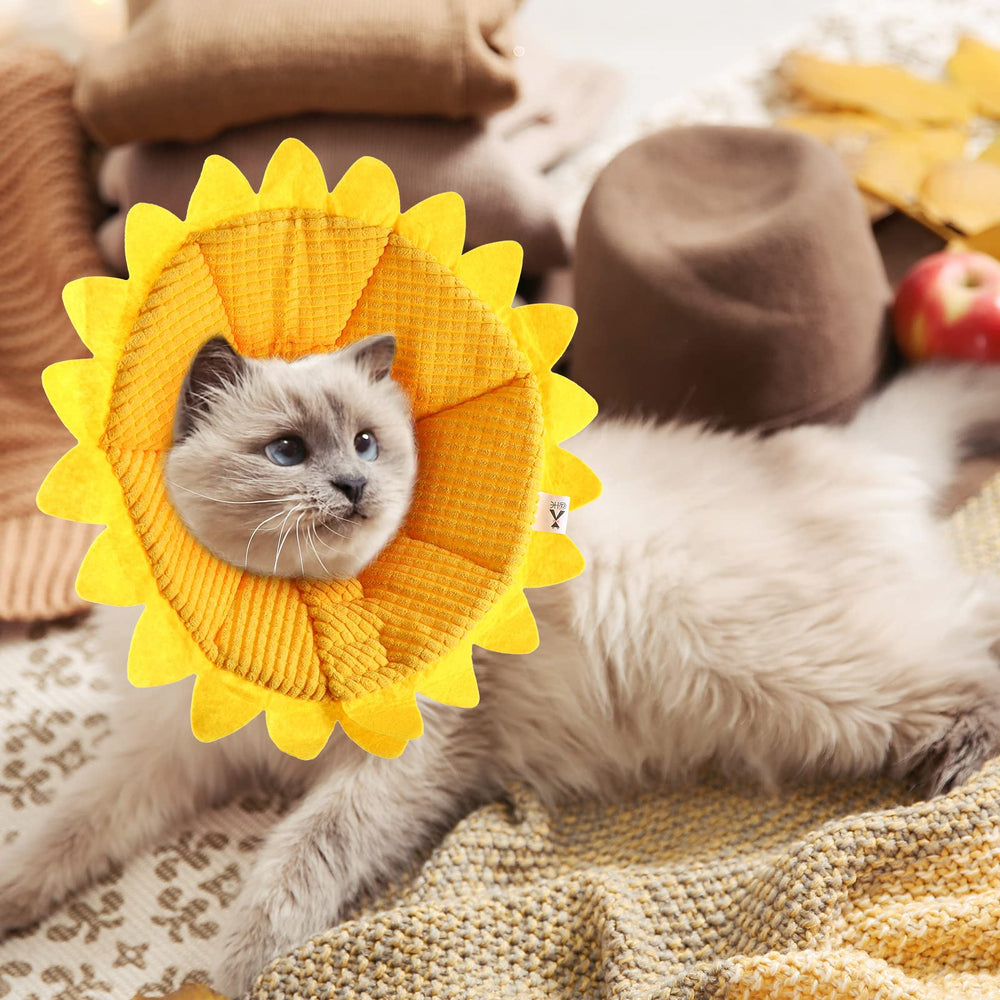 Sadnyy collar algodon suave gato: material cómodo para piel sensible