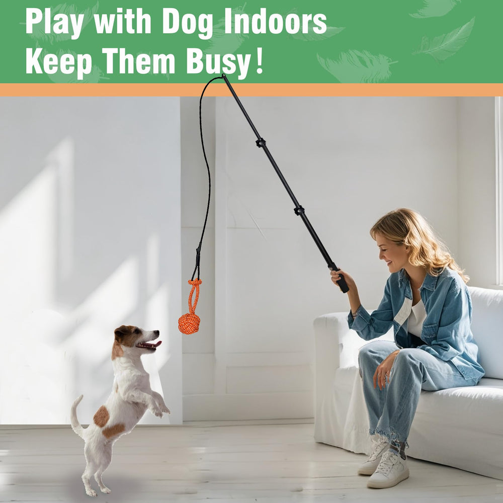 SailStart Flirt Pole juego interior exterior apto para perros de todos los tamaños