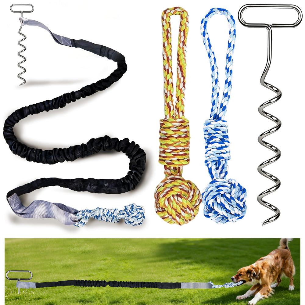 SailStart tira-elastica para perros con estaca de acero y bolas masticables.