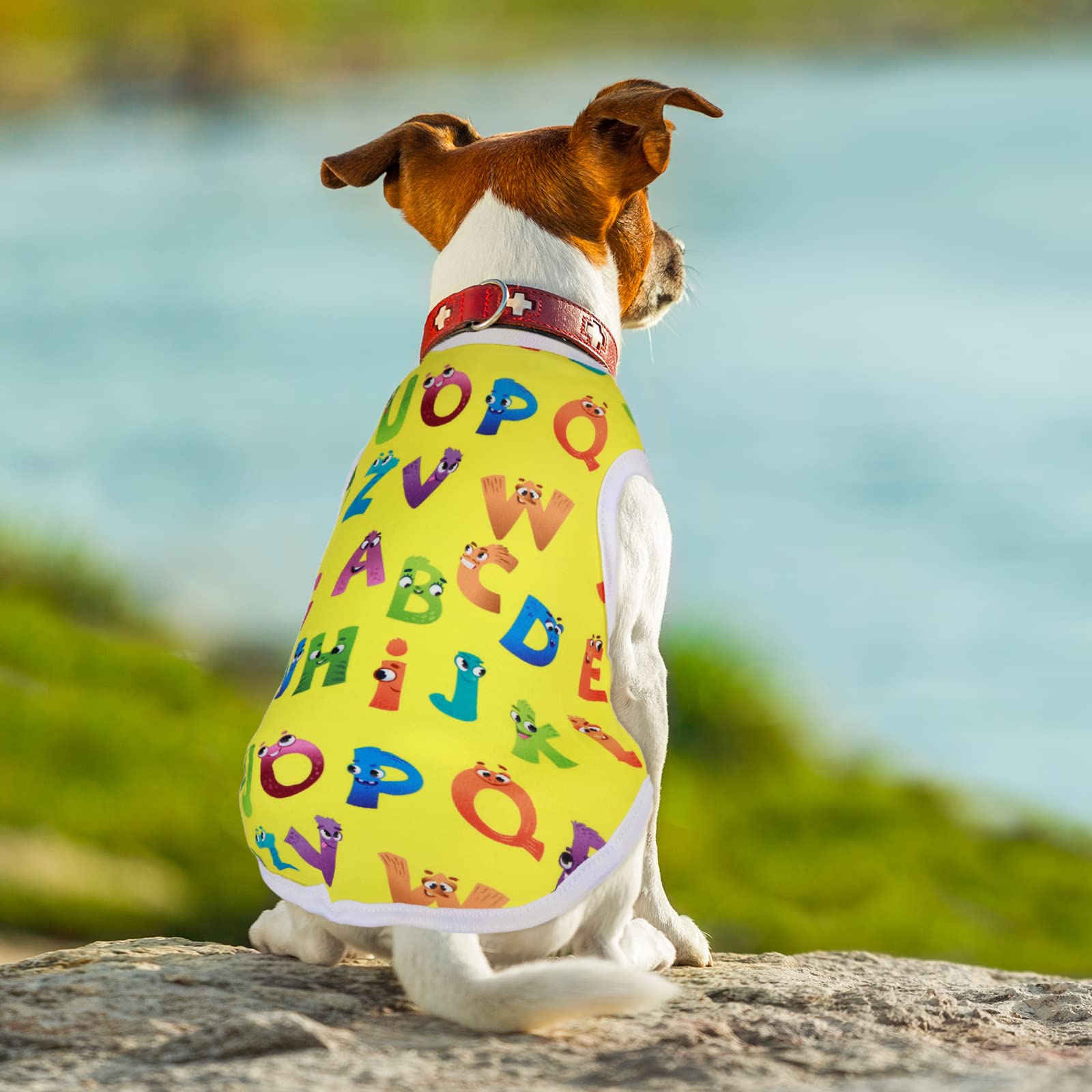 Camiseta Saintrygo para perrito de tela suave, fácil de lavar y secar