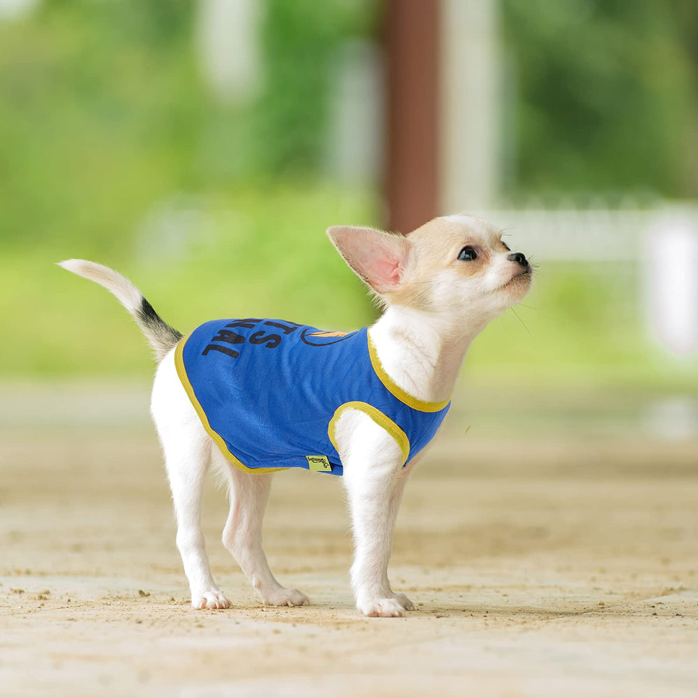 Estilo veraniego con camisetas Saintrygo para perro y gato