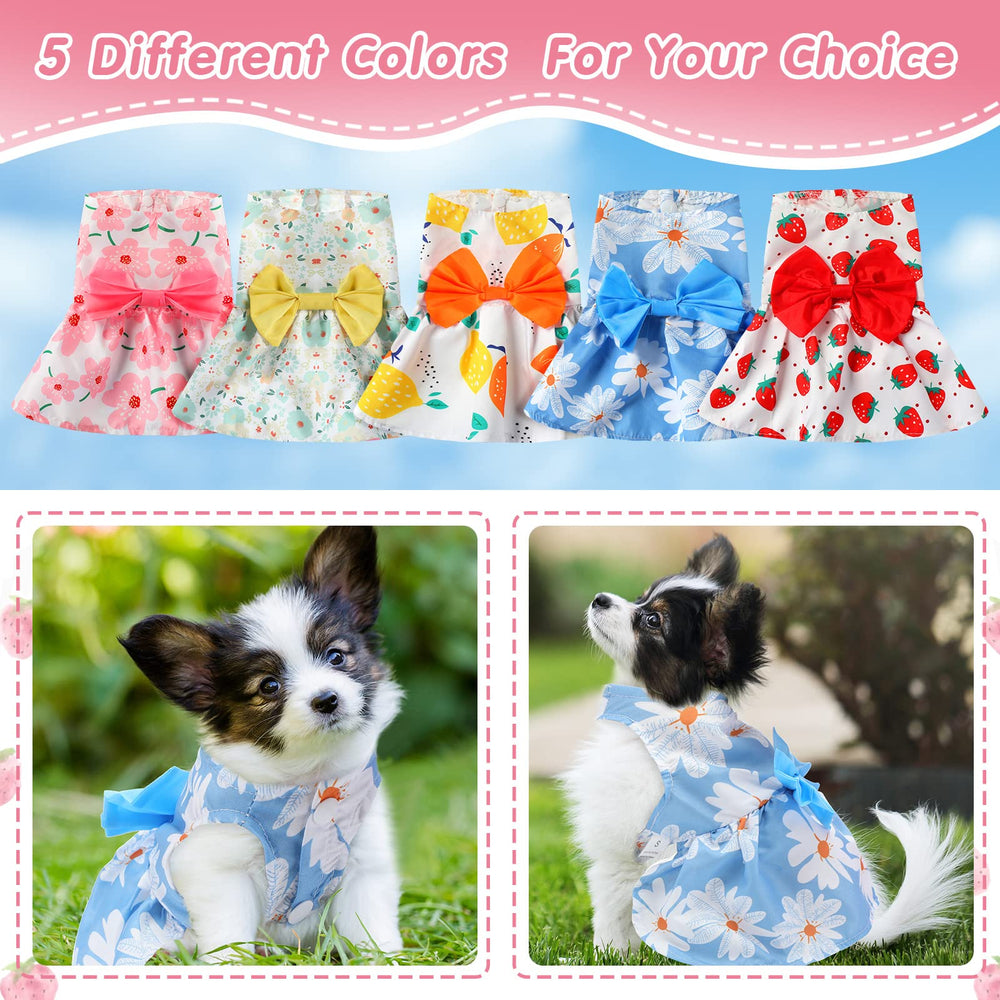 Vestido canino Saintrygo con flor morada para eventos.