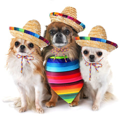 Pañuelo triangular para perro Saintrygo con bordado colorido, ideal para disfraces.