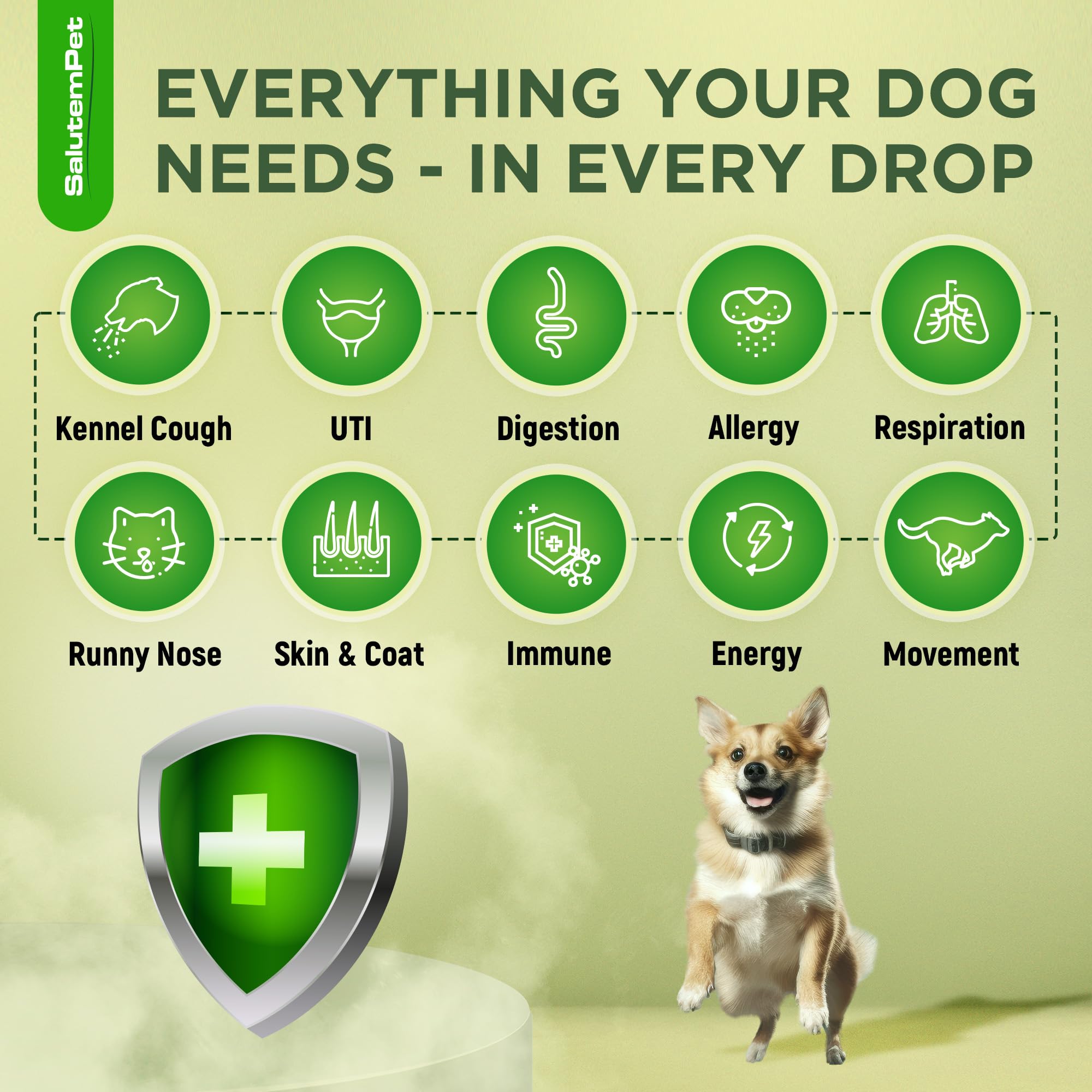 SalutemPet antibiótico líquido, aplicación directa para perros de cualquier edad.