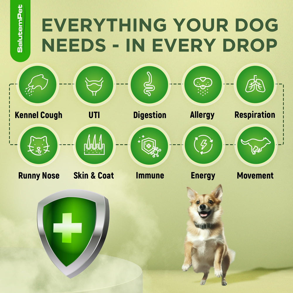 SalutemPet antibiótico líquido, aplicación directa para perros de cualquier edad.