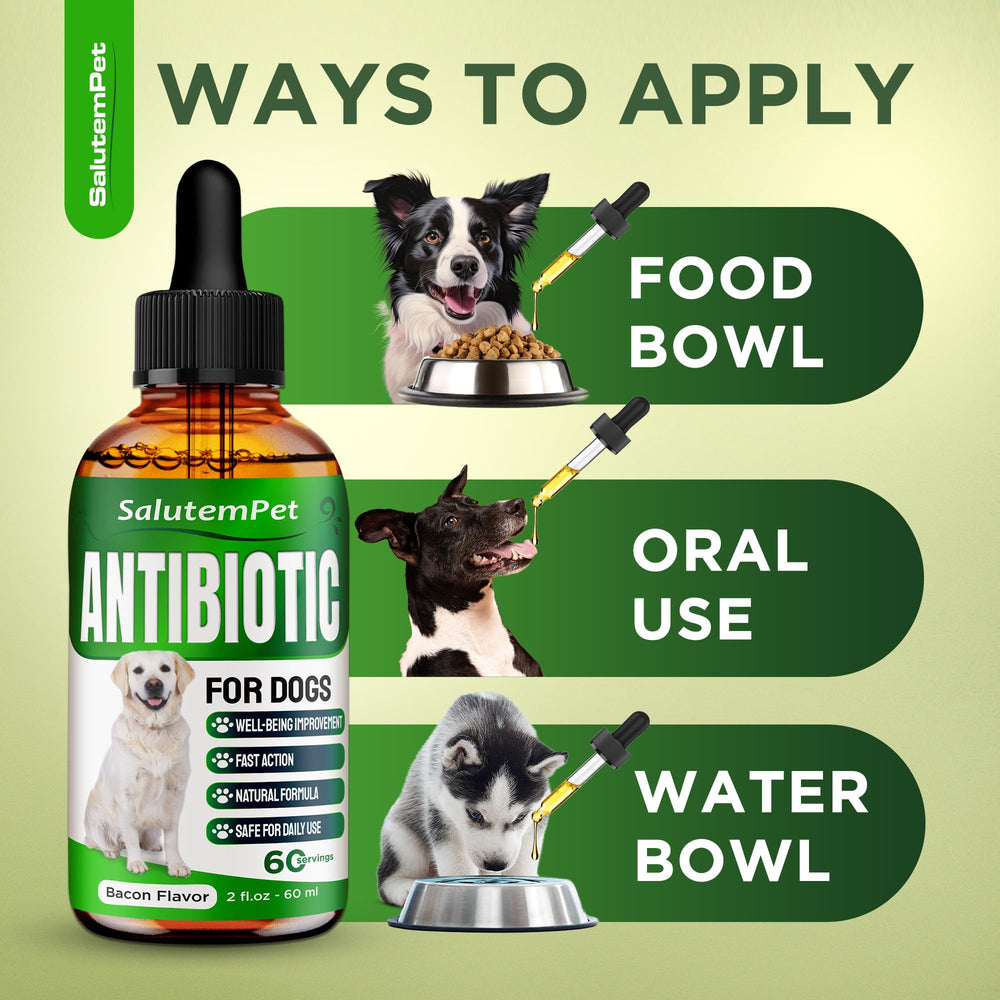 SalutemPet antibiótico: apoyo a articulaciones y músculos para perros activos.