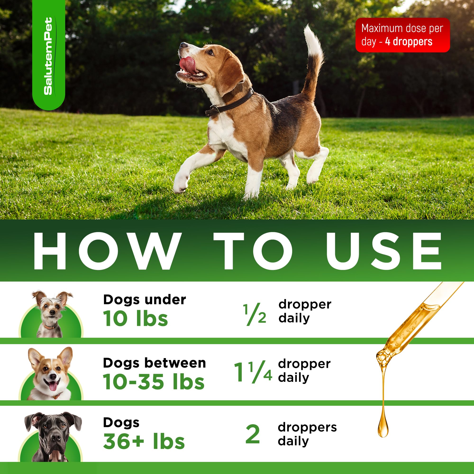 SalutemPet antibiótico en agua para perros, opción conveniente durante el día.