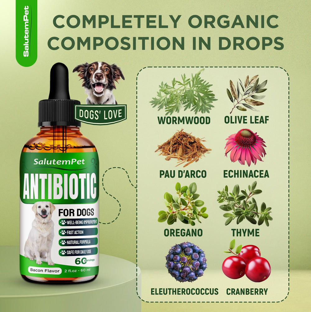 SalutemPet antibiótico, mezcla fácil con comida para perros felices.