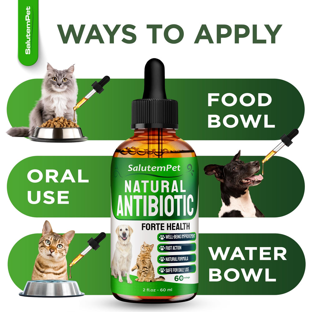 SalutemPet antibióticos naturales: detalle de oregano para un perfil herbal.