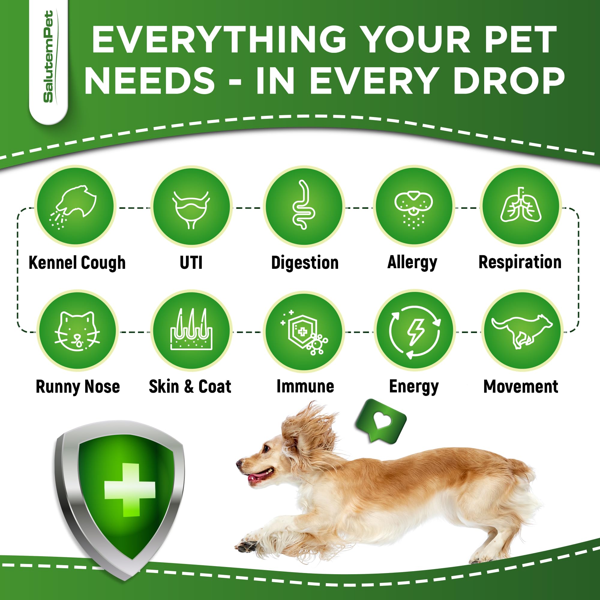 SalutemPet antibióticos naturales: perro bebiendo, formato líquido fácil de incorporar a la rutina.