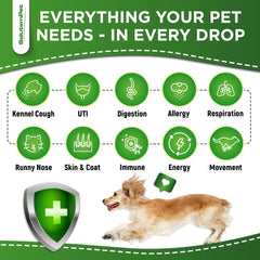 SalutemPet antibióticos naturales: perro bebiendo, formato líquido fácil de incorporar a la rutina.
