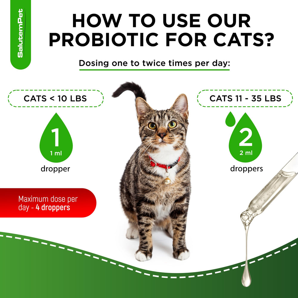 SalutemPet probióticos para gatos sabor pollo: sabor suave para paladar de felinos.